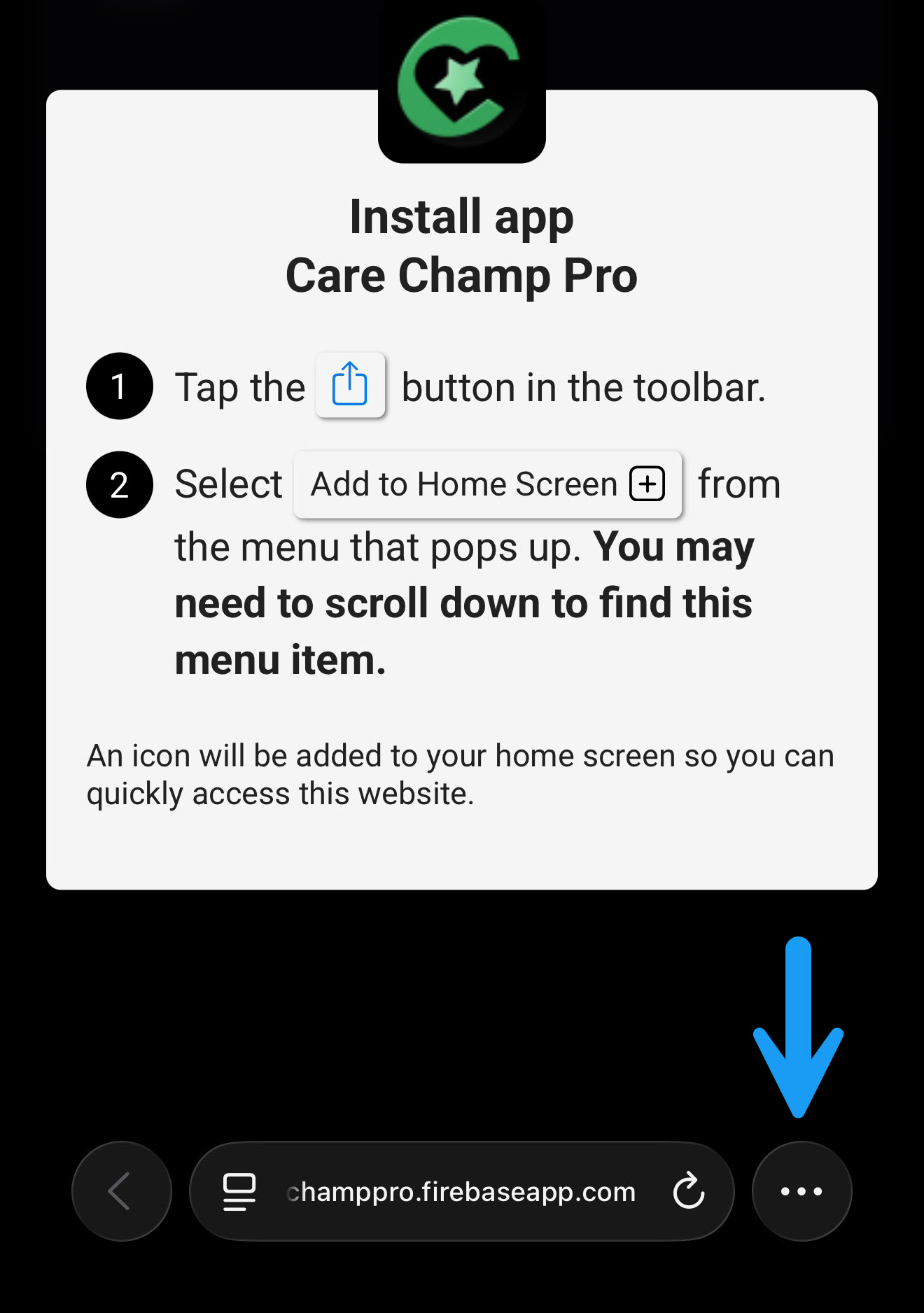 Safari browser screen showing the three-dot menu